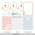 BLOOM card set