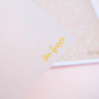 Carpeta de embossing 6"x 8,25" PÉTALOS