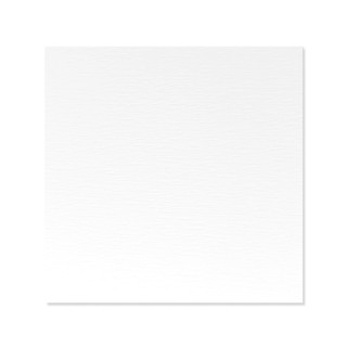 Kit de 5 cartulinas blanca textura 250 gr 30,5x30,5cm