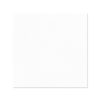Kit de 10 cartulinas blanco puro 190 gr 30,5x30,5cm