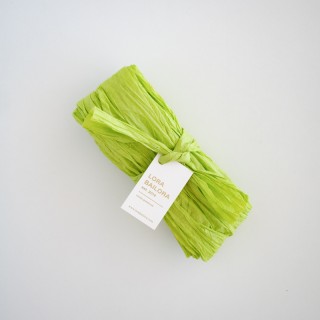 Pistachio mulberry paper tape 2,5m - Thickness 13 cm