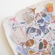 Die cuts COMPÁS